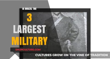 Brazil's Military Might: Is It the World's Third Largest Force?