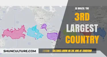 Exploring Brazil's Size: Is It the Third Largest Country?