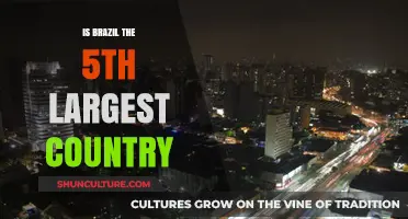Exploring Brazil's Size: Is It the Fifth Largest Country?