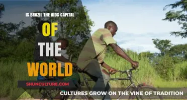 Debunking Myths: Brazil's HIV/AIDS Reality vs. Global Misconceptions