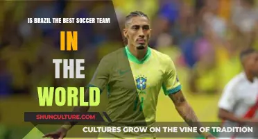 Is Brazil's Soccer Dominance Unmatched? A Global Team Analysis