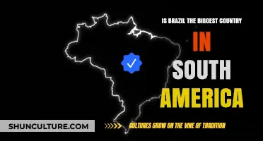 Brazil's Size: Is It South America's Largest Country?