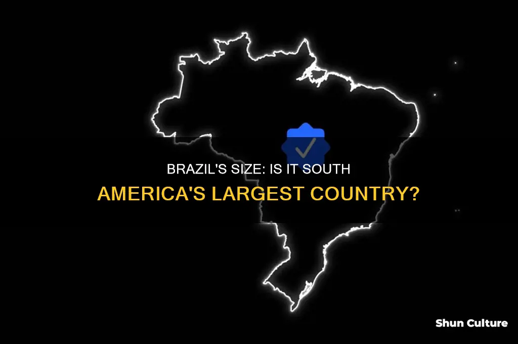is brazil the biggest country in south america