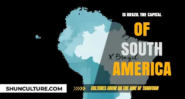 Is Brazil South America's Capital? Unraveling a Common Misconception