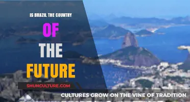 Brazil: The Country of the Future or a Missed Opportunity?