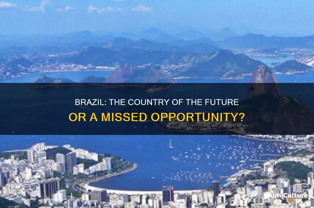 is brazil the country of the future