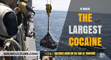 Is Brazil the Largest Cocaine Hub? Uncovering the Truth
