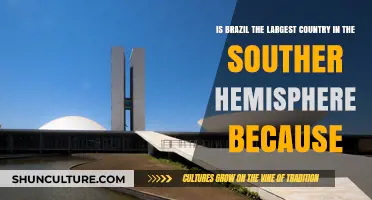 Why Brazil Dominates as the Largest Southern Hemisphere Country