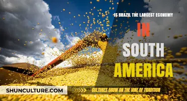 Brazil's Economic Dominance: Is It South America's Largest Economy?