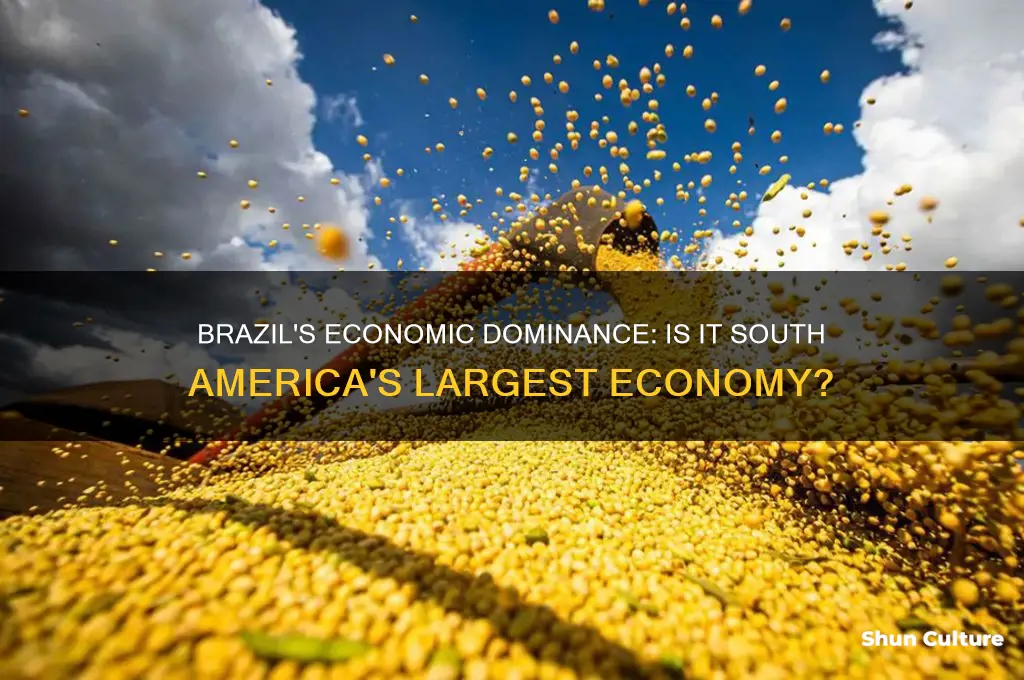 is brazil the largest economy in south america