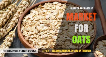Brazil's Oat Market: Is It the World's Largest Consumer?