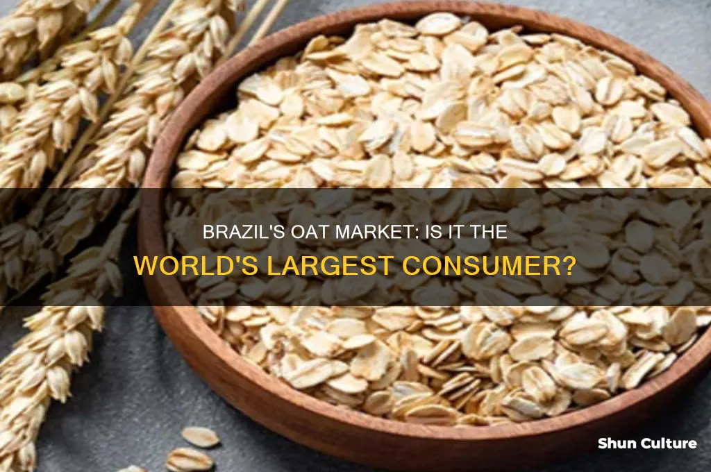 is brazil the largest market for oats