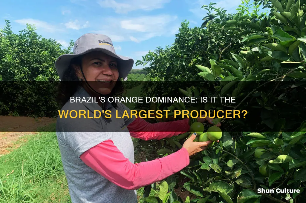 is brazil the largest producer of oranges