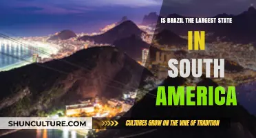 Is Brazil South America's Largest State? Unveiling the Geographical Truth