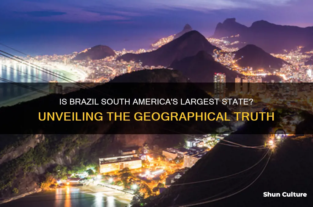 is brazil the largest state in south america