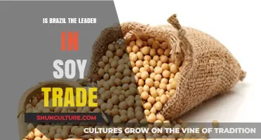 Brazil's Dominance in Global Soy Trade: Leader or Contender?