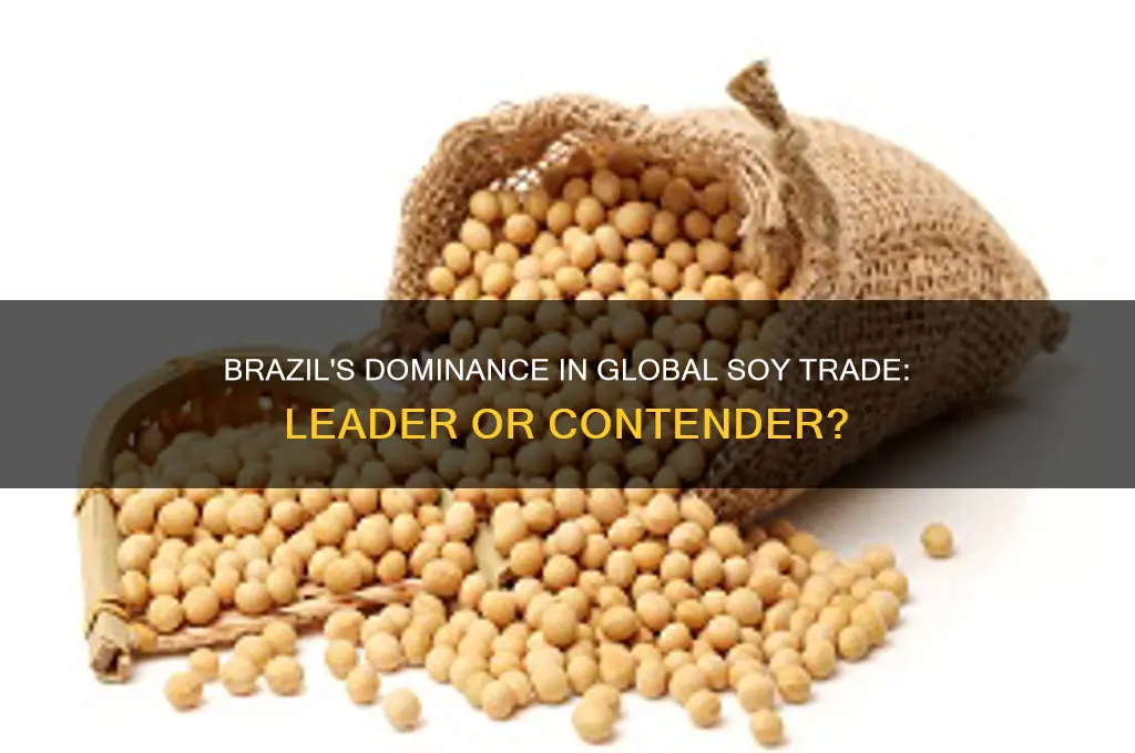 is brazil the leader in soy trade