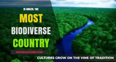 Exploring Brazil's Biodiversity: Is It the World's Richest Ecosystem?