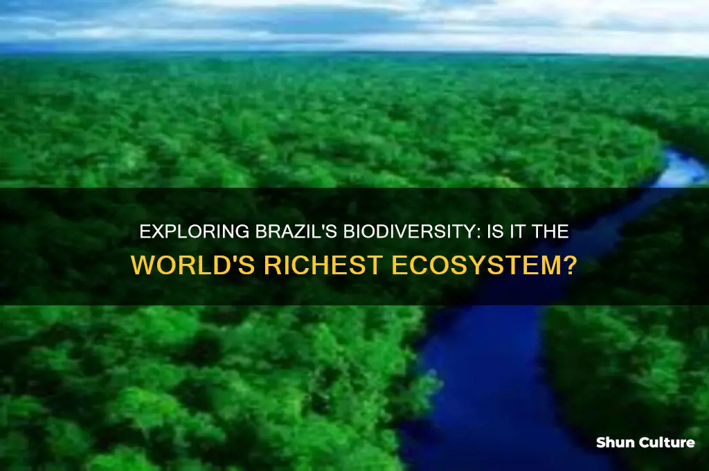 is brazil the most biodiverse country