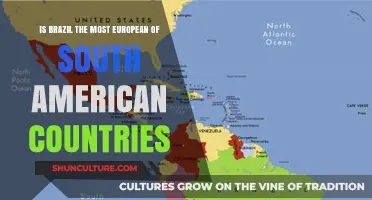 Brazil's European Influence: A Unique South American Cultural Blend