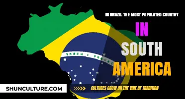 Is Brazil South America's Most Populous Nation? Facts and Figures