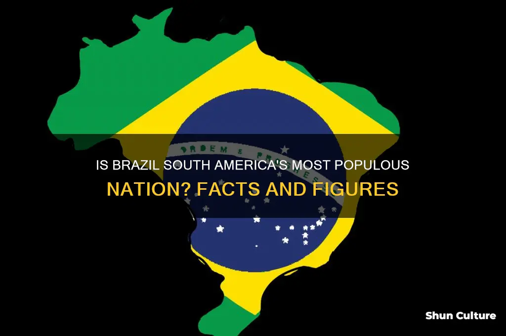 is brazil the most populated country in south america