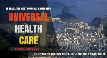 Brazil's Population and Universal Health Care: A Global Perspective