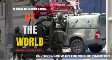 Brazil's Murder Rate: Uncovering the Truth Behind the Global Myth