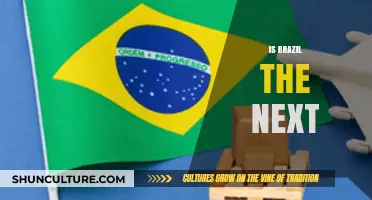 Is Brazil the Next Global Powerhouse? Economic and Political Insights
