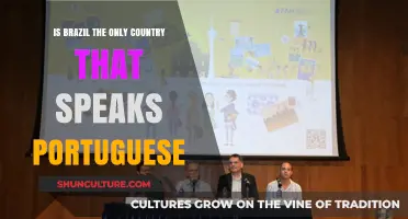 Beyond Brazil: Exploring the Global Reach of Portuguese Speakers