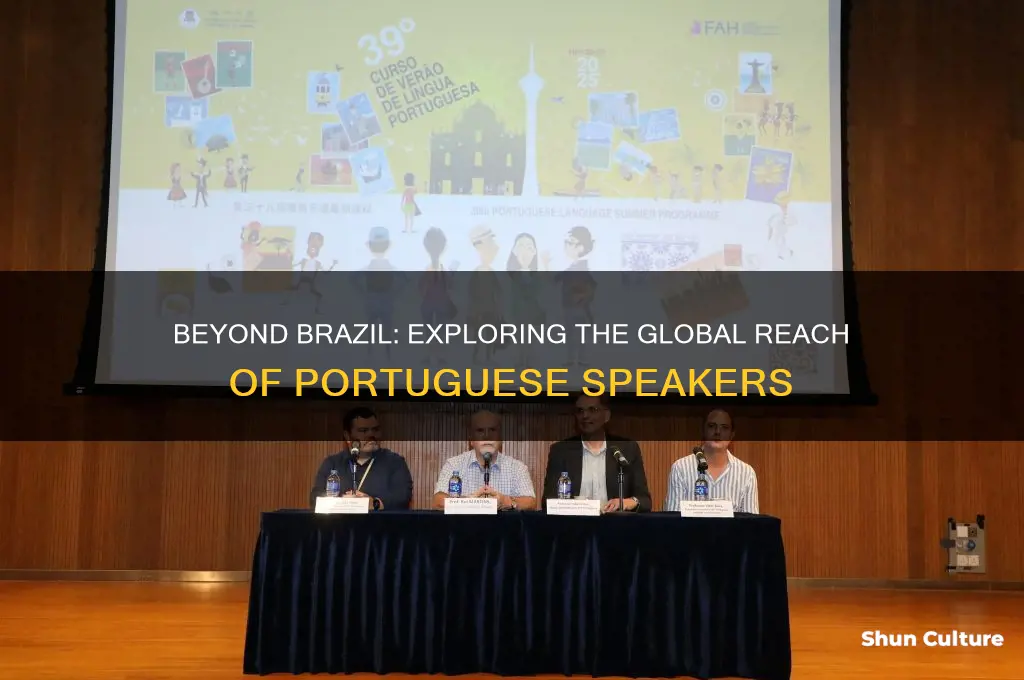 is brazil the only country that speaks portuguese