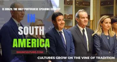 Portuguese in South America: Is Brazil the Sole Speaker?