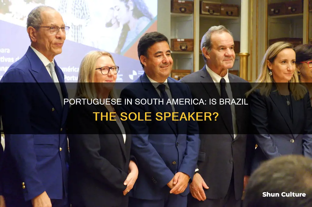 is brazil the only portuguese speaking country in south america