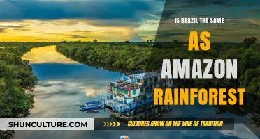 Brazil vs. Amazon Rainforest: Unraveling the Geographic and Ecological Differences