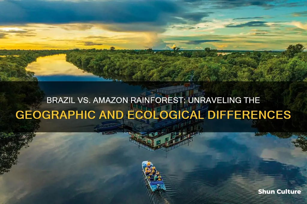is brazil the same as amazon rainforest