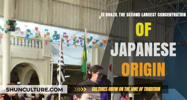 Exploring Brazil's Japanese Heritage: The World's Second-Largest Community?