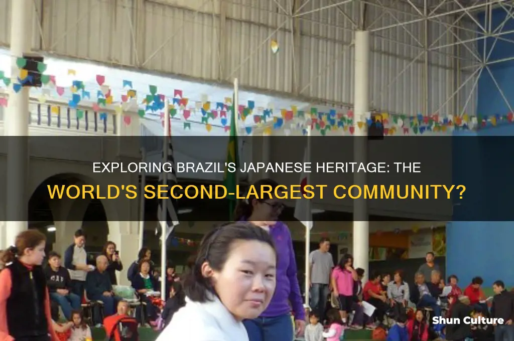 is brazil the second largest concentration of japanese origin