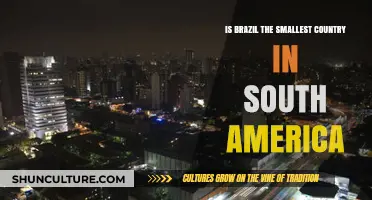 Is Brazil the Smallest? Unraveling South America's Country Size Myth