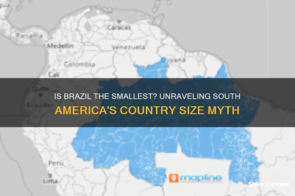 is brazil the smallest country in south america