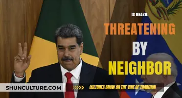 Brazil's Regional Dynamics: Assessing Neighboring Threats and Geopolitical Tensions