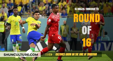 Brazil Advances: Securing Round of 16 Spot in FIFA World Cup
