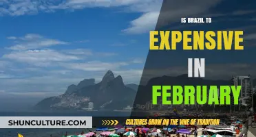 Is Brazil Too Expensive in February? Travel Costs Explained
