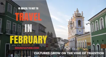 Is Brazil Too Hot in February? Travel Tips and Insights