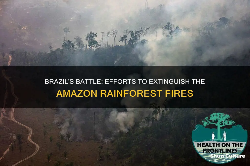 is brazil trying to put out the amazon fire