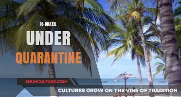 Is Brazil Under Quarantine? Current COVID-19 Restrictions and Updates
