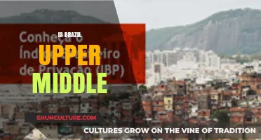 Is Brazil Upper Middle Class? Exploring Its Economic Standing