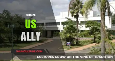 Is Brazil a US Ally? Exploring Strategic Ties and Partnerships