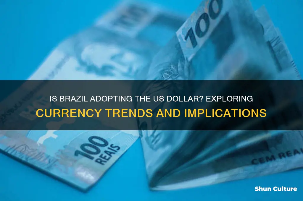 is brazil using dollar
