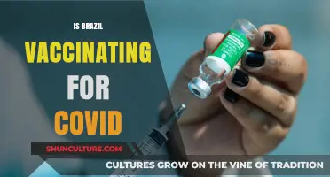 Brazil's COVID-19 Vaccination Progress: Updates, Challenges, and Successes