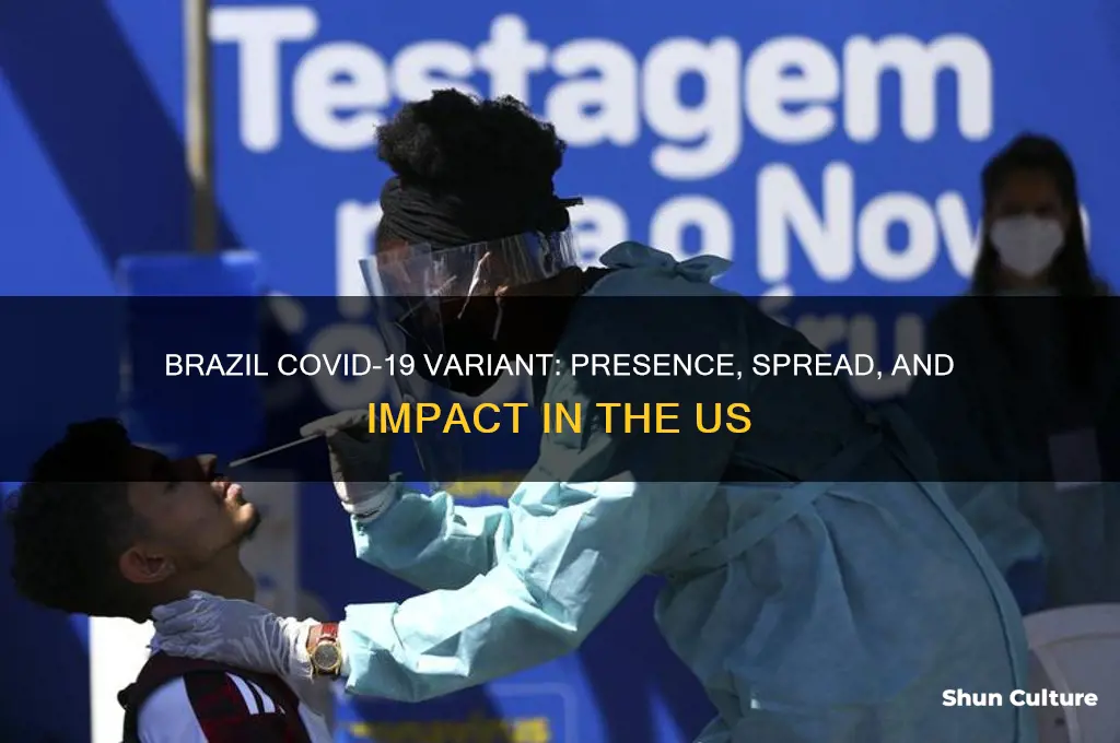 is brazil variant in us